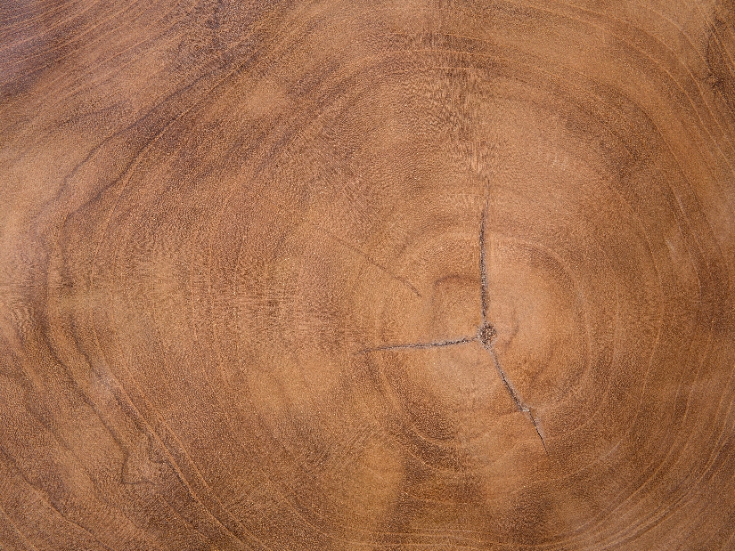 Asztal Elda (világos fa)