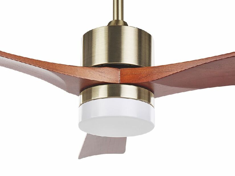 Mennyezeti ventilátor lámpával Angelica (sárgaréz)