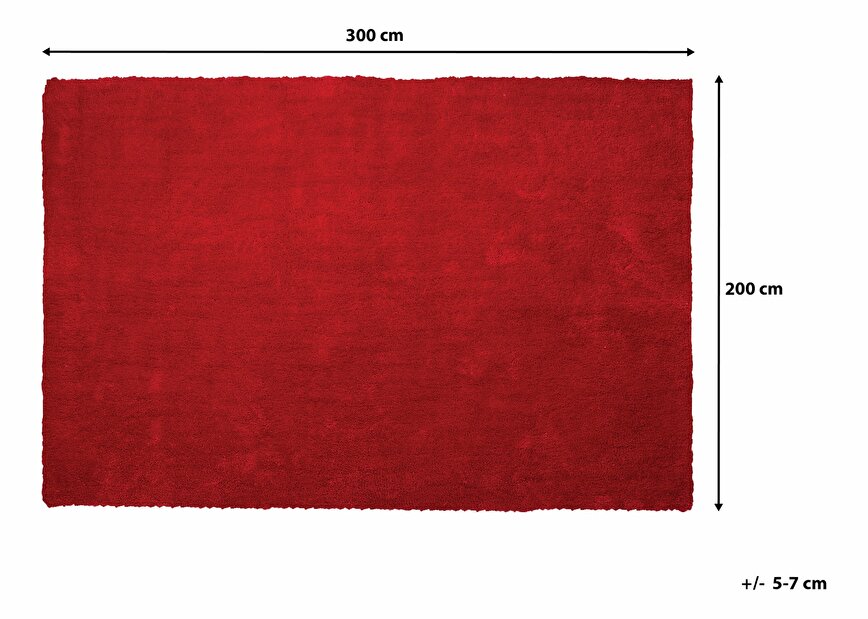 Szőnyeg 300 cm Damte (piros)