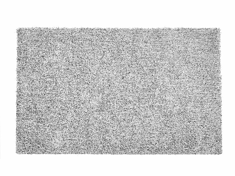 Szőnyeg 230x160 cm Damte (világosszürke) (melírezett)